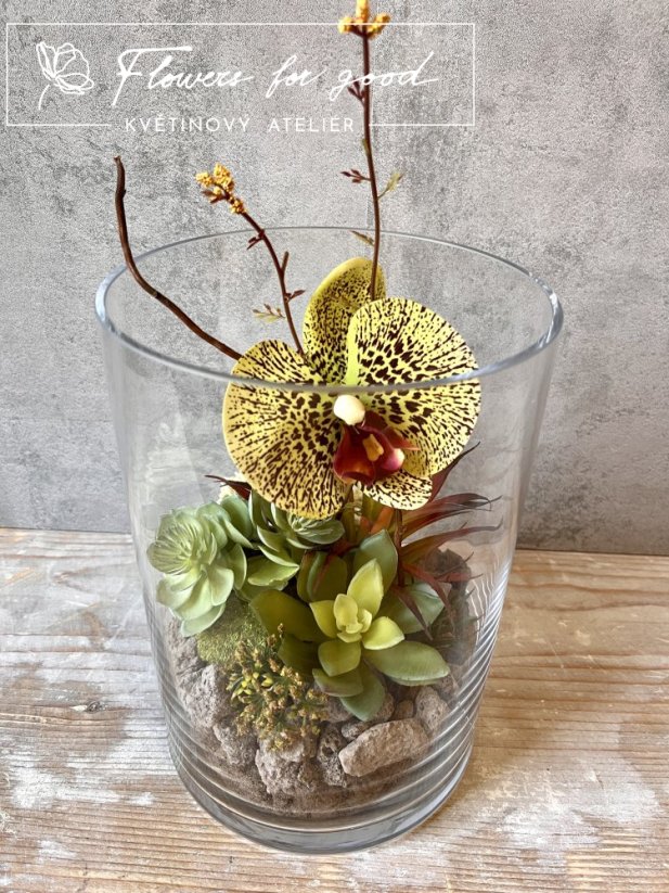 Exotické sukulenty s tygří orchidejí a lávovými kameny