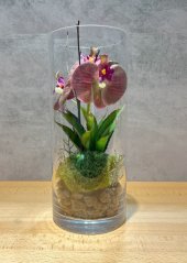 Exotická orchidej se sukulenty s umělým mechem