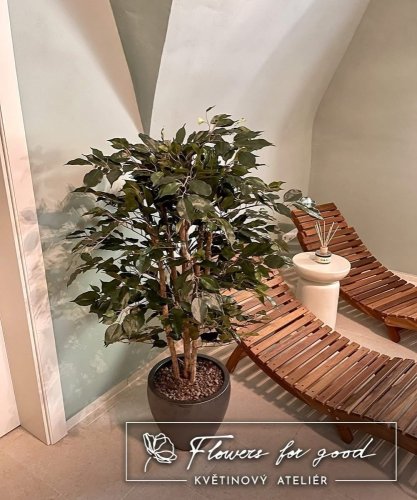 Dekorace prostor spa a wellness