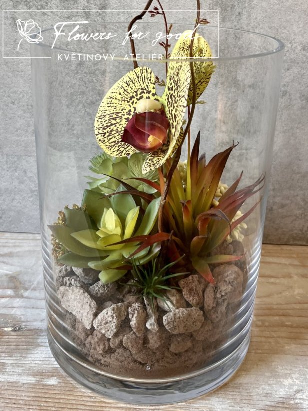Exotické sukulenty s tygří orchidejí a lávovými kameny